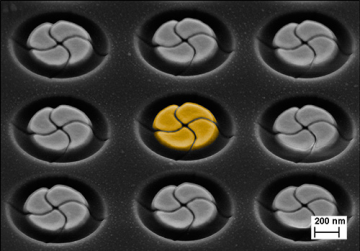 Array of golden chiral nanoparticles.