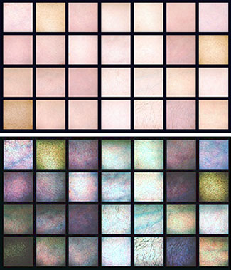NIST researchers are gathering skin reflectance data to establish the variation found in human tissue in order to develop reference standards for hyperspectral imaging applications. The top image shows skin as normally viewed. At bottom are the same images with enhanced contrast in false color to show the variability between subjects.