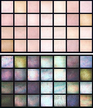 NIST researchers are gathering skin reflectance data to establish the variation found in human tissue in order to develop reference standards for hyperspectral imaging applications. The top image shows skin as normally viewed. At bottom are the same images with enhanced contrast in false color to show the variability between subjects.