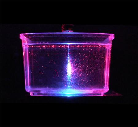 A vertical migration of newly hatched A. salina (a species of brine shrimp, commonly known as Sea-Monkeys) is triggered by means of a blue luminescent signal. Animals migrated from the bottom to the top of the tank, following the cue of the blue luminescent signal generated by a vertical blue laser beam. A red laser sheet at the center of the tank illustrates the lack of attraction to this particular light source.