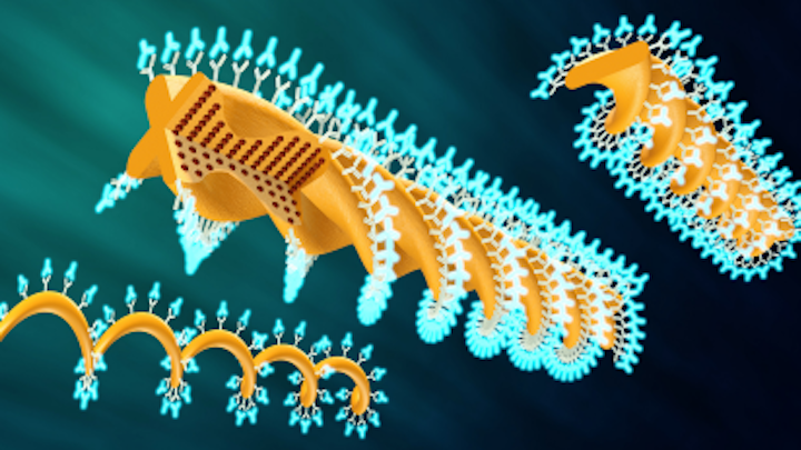 Two-photon polymerization produces micrometer-sized swimming actuators for bioscience