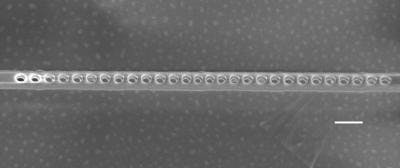 A scanning electron microscope image of the diamond photonic cavity shows nanoscale holes etched through the layer containing NV centers. The scale bar indicates 200 nm.