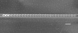 A scanning electron microscope image of the diamond photonic cavity shows nanoscale holes etched through the layer containing NV centers. The scale bar indicates 200 nm.