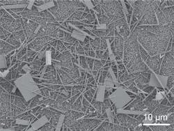 Unsorted nanowire crystals are shown immediately after production. Unsorted nanowire crystals are shown immediately after production.