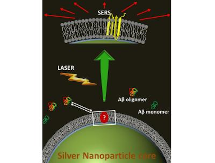 Surface-enhanced Raman spectroscopy using fat-coated silver nanoparticles reveals Alzheimer's details