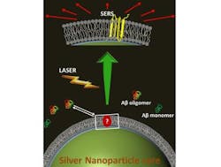 Surface-enhanced Raman spectroscopy using fat-coated silver nanoparticles reveals Alzheimer's details Surface-enhanced Raman spectroscopy using fat-coated silver nanoparticles reveals Alzheimer's details