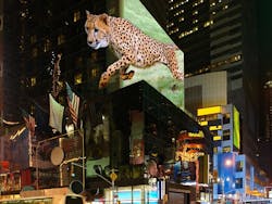 A new display is highly directional and has high angular resolution; it is able to direct different images to users in different locations around the display. A new display is highly directional and has high angular resolution; it is able to direct different images to users in different locations around the display.