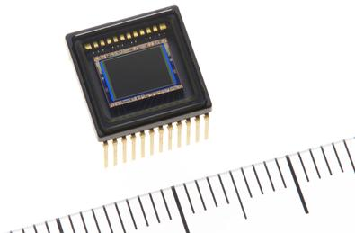 (Image courtesy of Sharp)