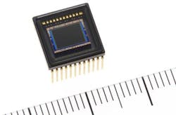 (Image courtesy of Sharp) (Image courtesy of Sharp)