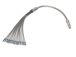 Content Dam Lfw Online Articles 2015 June 1506lfw Pro 10 Web Content Dam Lfw Online Articles 2015 June 1506lfw Pro 10 Web