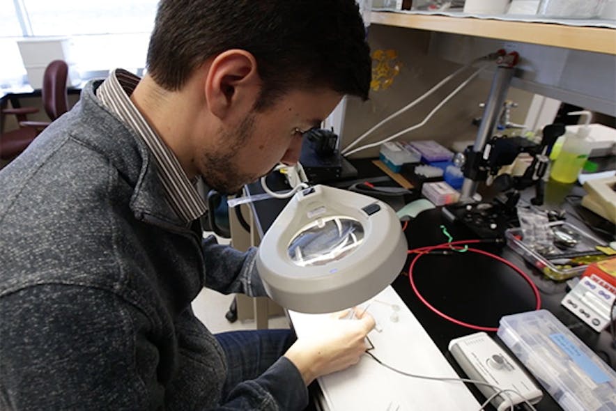 Baris Ozbay examines the fiber-optic, laser-scanning microscope. (Image credit: University of Colorado Denver Anschutz Medical Campus)