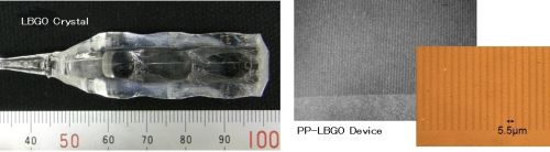 Content Dam Lfw Online Articles 2015 May Pp Lbgo Eng Web