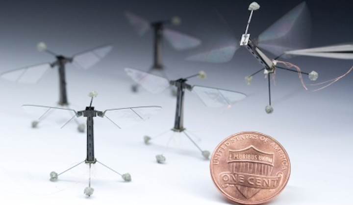 Robot insects may someday be used in agriculture and disaster relief situations. (Image credit: Microrobotics Lab, Harvard John A. Paulson School of Engineering and Applied Sciences and the Wyss Institute for Biologically Inspired Engineering, SUNY UB)