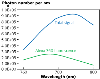 Software simulates laser-based phosphorescence and fluorescence for flow cytometry
