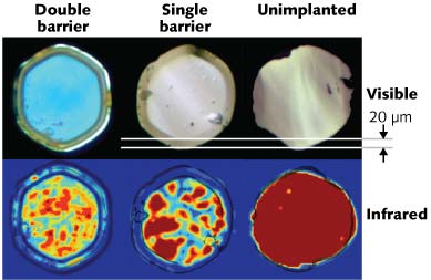 Visible and infrared images of light transmission are shown in sapphire fibers with cladding made by proton-ion implantation and annealing at 1700&deg;C. An unimplanted fiber shows a uniform distribution of light. Fiber with a single ion-implanted barrier shows light confined to the core region 20 &mu;m from the fiber surface, which was the target depth of the implant. When a second ion-modified barrier is added, light is confined to two separate regions in the fiber.
