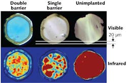 Visible and infrared images of light transmission are shown in sapphire fibers with cladding made by proton-ion implantation and annealing at 1700°C. An unimplanted fiber shows a uniform distribution of light. Fiber with a single ion-implanted barrier shows light confined to the core region 20 μm from the fiber surface, which was the target depth of the implant. When a second ion-modified barrier is added, light is confined to two separate regions in the fiber. Visible and infrared images of light transmission are shown in sapphire fibers with cladding made by proton-ion implantation and annealing at 1700°C. An unimplanted fiber shows a uniform distribution of light. Fiber with a single ion-implanted barrier shows light confined to the core region 20 μm from the fiber surface, which was the target depth of the implant. When a second ion-modified barrier is added, light is confined to two separate regions in the fiber.