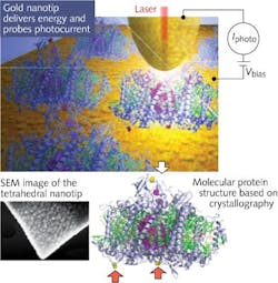 Content Dam Lfw Print Articles 2012 11 1211lfwnbf1web Content Dam Lfw Print Articles 2012 11 1211lfwnbf1web