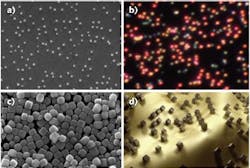 A scanning electron microscopy (SEM) image shows the silver nanocubes deposited on the gold film (a); a darkfield image shows how cube size can influence the color they diffuse (b). The cubes are shown in a SEM image as fabricated (c) and in an artist’s view (d). A scanning electron microscopy (SEM) image shows the silver nanocubes deposited on the gold film (a); a darkfield image shows how cube size can influence the color they diffuse (b). The cubes are shown in a SEM image as fabricated (c) and in an artist’s view (d).