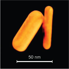 Content Dam Lfw Print Articles 2013 08 1308lfwbreaksf3web