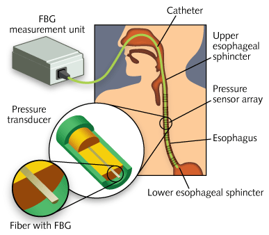 Content Dam Lfw Print Articles 2013 10 1310lfwnbf3web