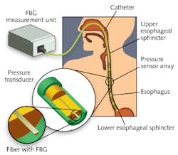 Content Dam Lfw Print Articles 2013 10 1310lfwnbf3web Content Dam Lfw Print Articles 2013 10 1310lfwnbf3web