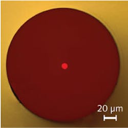 Content Dam Lfw Print Articles 2013 12 1312lfwnbf3web Content Dam Lfw Print Articles 2013 12 1312lfwnbf3web