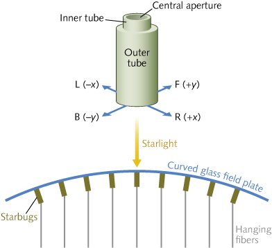 Content Dam Lfw Print Articles 2014 01 1401lfwnbf2web