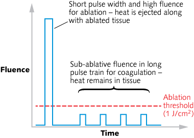 Content Dam Lfw Print Articles 2014 02 1402lfwnbf1web