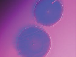 FRONTIS. Laser damage to optics (seen here) is often associated with pre-existing coating defects. FRONTIS. Laser damage to optics (seen here) is often associated with pre-existing coating defects.