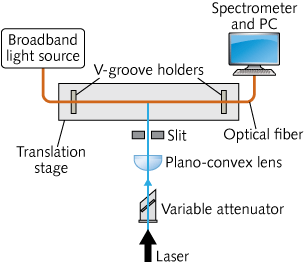 Content Dam Lfw Print Articles 2014 08 1408lfwnbf1web