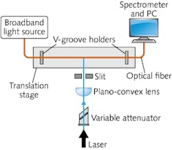Content Dam Lfw Print Articles 2014 08 1408lfwnbf1web Content Dam Lfw Print Articles 2014 08 1408lfwnbf1web