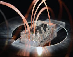 Microfluidic chip designed for isolating single cells for analysis under development at Walt Laboratory at Tufts.