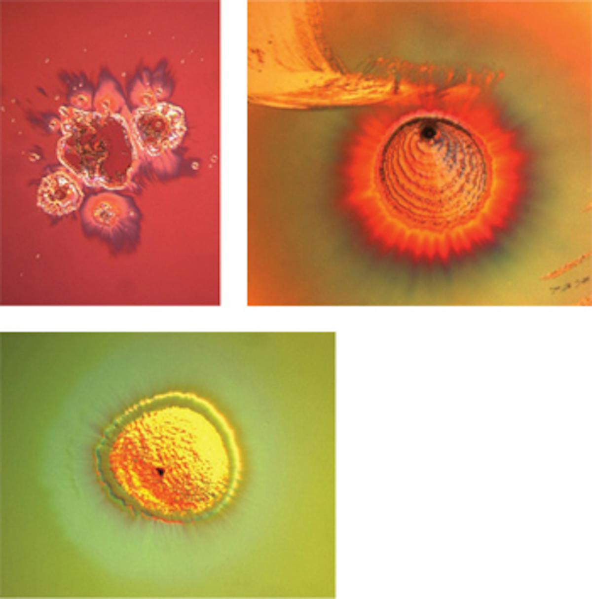 FIGURE 1. High magnification reveals images of high-energy laser-induced damage on coated surfaces.