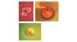 FIGURE 1. High magnification reveals images of high-energy laser-induced damage on coated surfaces. FIGURE 1. High magnification reveals images of high-energy laser-induced damage on coated surfaces.