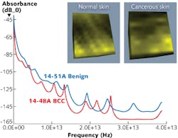 Content Dam Lfw Print Articles 2014 09 1409lfwnbf1web Content Dam Lfw Print Articles 2014 09 1409lfwnbf1web