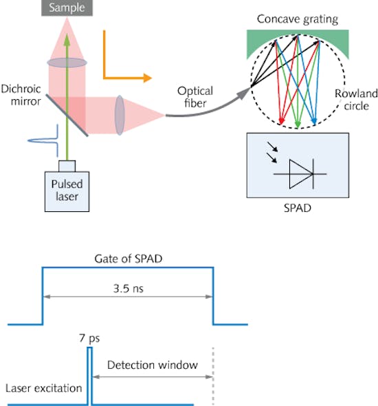 Raman Spectrometers Lowcost Raman spectrometer uses concave grating