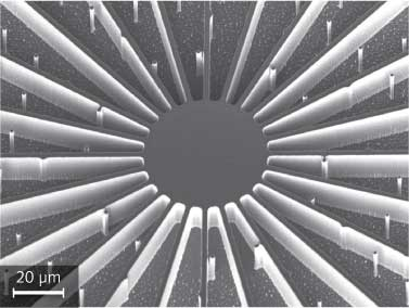 Content Dam Lfw Print Articles 2014 11 1411lfwnbf3web