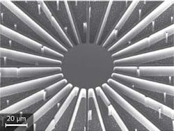 Content Dam Lfw Print Articles 2014 11 1411lfwnbf3web Content Dam Lfw Print Articles 2014 11 1411lfwnbf3web