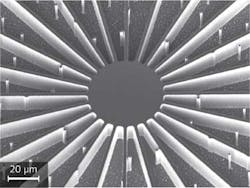 Content Dam Lfw Print Articles 2014 11 1411lfwnbf3web Content Dam Lfw Print Articles 2014 11 1411lfwnbf3web