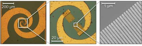 Content Dam Lfw Print Articles 2014 11 1411lfwnbf4web