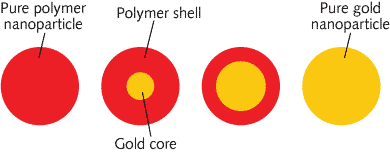 Content Dam Lfw Print Articles 2014 12 1412lfwnb Core Shellweb