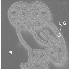 Content Dam Lfw Print Articles 2015 02 1502lfwnb Story3 Web 2