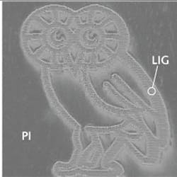 Content Dam Lfw Print Articles 2015 02 1502lfwnb Story3 Web 2 Content Dam Lfw Print Articles 2015 02 1502lfwnb Story3 Web 2