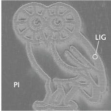 Content Dam Lfw Print Articles 2015 02 1502lfwnb Story3 Web 2 Content Dam Lfw Print Articles 2015 02 1502lfwnb Story3 Web 2