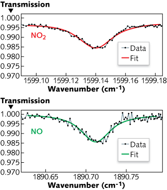 Content Dam Lfw Print Articles 2015 02 1502lfwnb Story4 Web