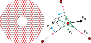 The hexagonal cell lattice of a microstructured fiber (left) is represented as a grid of nodes (red points) connected by struts (black lines) and acted upon by surface tension, Ft, as a function of the angle turned in the fillet, &Psi; (right). The viscous Fv and pressure Fp forces act parallel and normal to the struts, with total force summed as Fn.