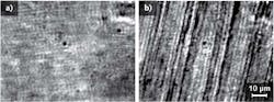 Microscope images show the diluted cobalt-nanoparticle-based ferrofluid before (a) and after (b) applying an external magnetic field; the fluid separates into cobalt-rich and cobalt-poor phases creating self-assembled stripes oriented along the direction of the magnetic field. Microscope images show the diluted cobalt-nanoparticle-based ferrofluid before (a) and after (b) applying an external magnetic field; the fluid separates into cobalt-rich and cobalt-poor phases creating self-assembled stripes oriented along the direction of the magnetic field.