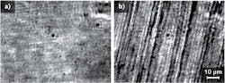 Microscope images show the diluted cobalt-nanoparticle-based ferrofluid before (a) and after (b) applying an external magnetic field; the fluid separates into cobalt-rich and cobalt-poor phases creating self-assembled stripes oriented along the direction of the magnetic field.