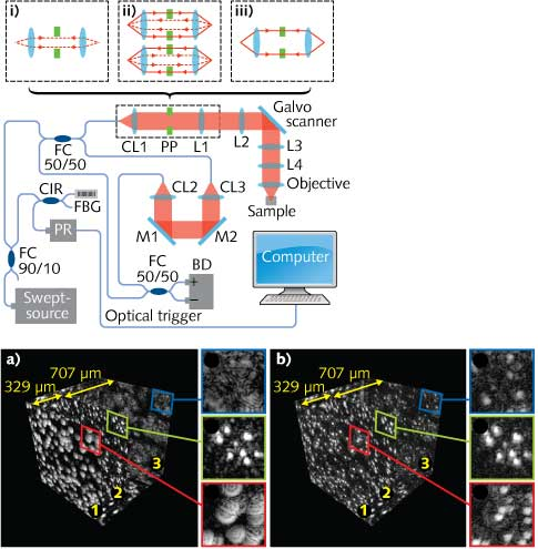 In synthetic-aperture OCT, the insets (i)&ndash;(iii) describe the three light propagation paths that constitute three separate optical apertures; L = lens, PP = annular phase plate, CL = collimator, M = mirror, FC = fiber coupler, CIR = circulator, PR = photon receiver, FBG = fiber Bragg grating, and BD = balanced detector. Digital manipulation of the data sets produces extended depth-of-field OCT imaging as evidenced by consistent focus of uniform spheres in an elastomer matrix (b) compared to out-of-focus spheres using standard OCT imaging methods (a).