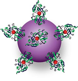 A photosensitive titanium dioxide nanoparticle (purple) carries the iron-binding protein transferrin (blue and green) and the light-sensitive cancer drug titanocene (red) to a deeply embedded tumor, where it can be activated using fluorodeoxyglucose (FDG), a radiolabeled agent used in PET scanning. A photosensitive titanium dioxide nanoparticle (purple) carries the iron-binding protein transferrin (blue and green) and the light-sensitive cancer drug titanocene (red) to a deeply embedded tumor, where it can be activated using fluorodeoxyglucose (FDG), a radiolabeled agent used in PET scanning.